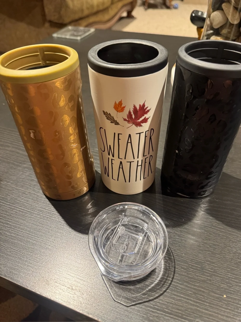 Brumate & Rae Dunn Slim Can Coozies - set of 3 + extra Brumate lid - Fall Set